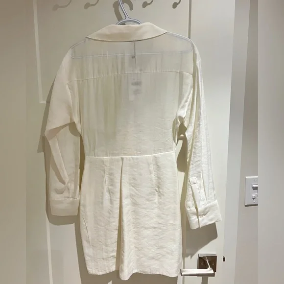 Zara Ruched Dress - Picture 3 of 3